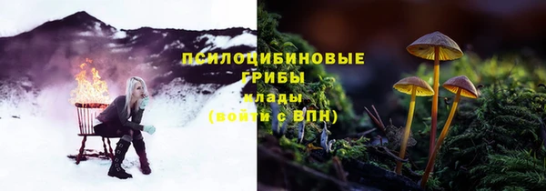 каннабис Абаза