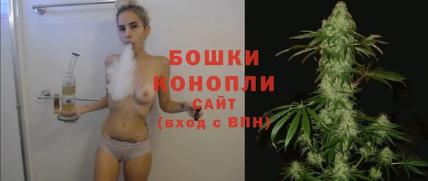 стафф Ростов