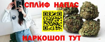 mdpv Можга