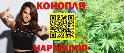 Альфа ПВП Моздок