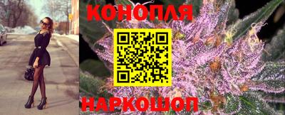 mdpv Можга