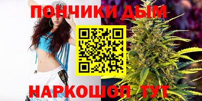mdpv Можга